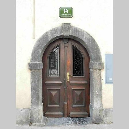 Old Town 14 Apartment Ljubljana Bagian luar foto
